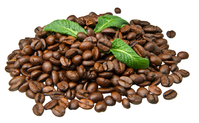 Mucchio di grani di caffè con foglie