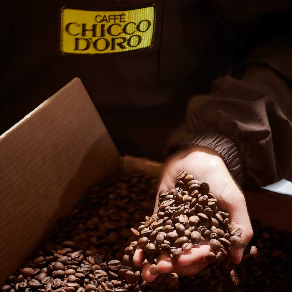 In primo piano una mano con dei chicchi di caffè al suo interno, si intravede anche la maglietta della persona con il marchio caffè chicco d'oro